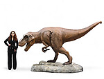 Large T-Rex Statue Life Size 10.5 FT