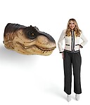 Large T-Rex Head Statue Mouth Closed Wall Mount