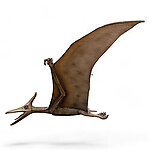 Pterodactyl Flying Life Size Statue Hanging Wings Up 17.8 FT