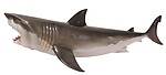 Great White Shark Statue Hanging Life Size 6FT