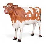 Guernsey Cow Statue Life Size