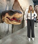 Large T-Rex Head Statue Mouth Open Wall Mount