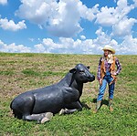 Black Angus Bull Life Size Statue Sitting