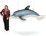 Dolphin Hanging Large Life Size Statue