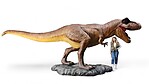 Huge T-Rex Statue Life Size Museum Quality 20 FT