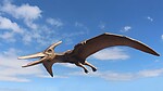 Pterodactyl Flying Life Size Statue Hanging 6 FT