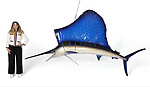 Sailfish Sculpture Hanging 11 FT Museum Quality