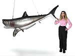 Large Great White Shark Statue Hanging Life Size 8FT