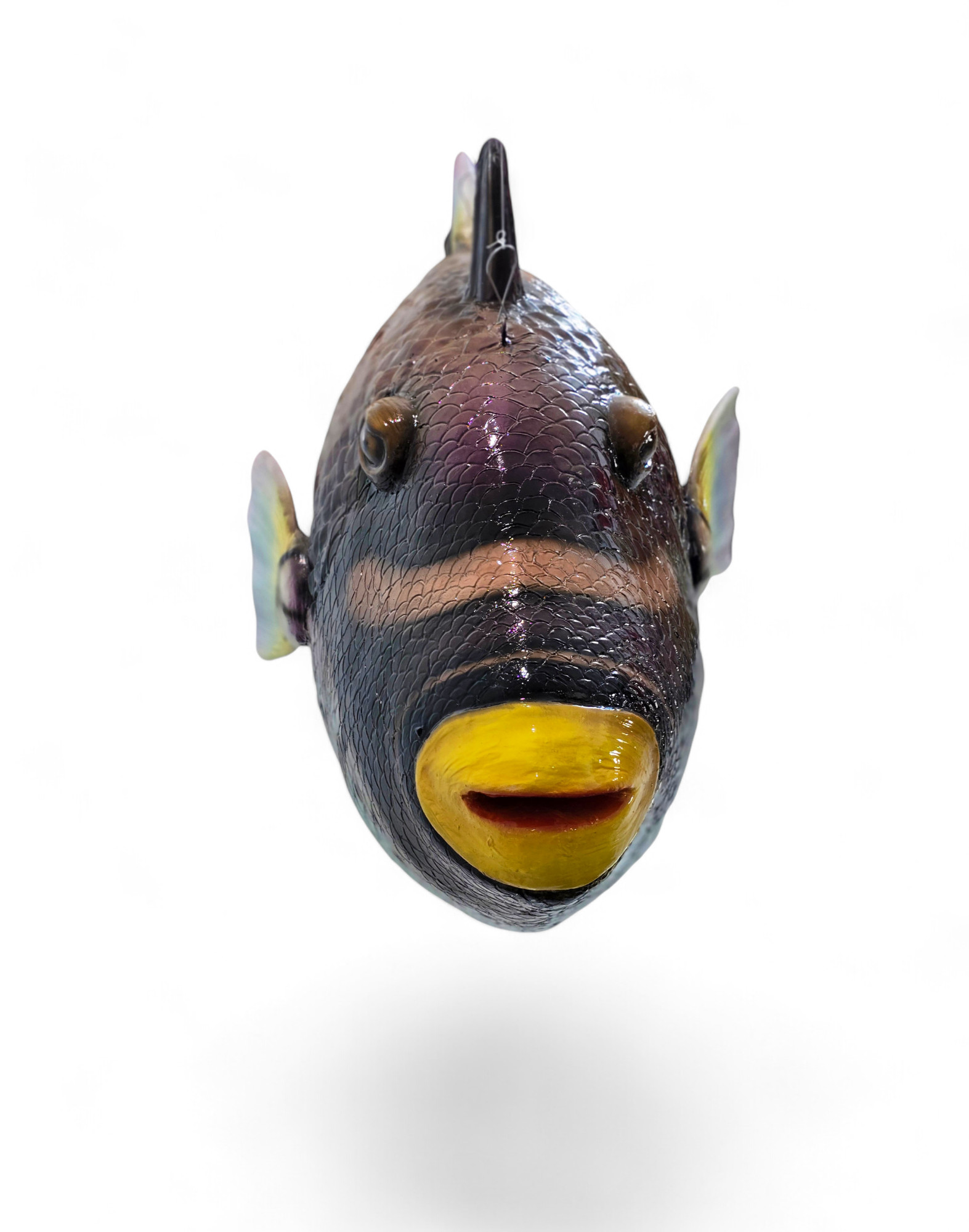 Clown Triggerfish Tropical Fish Statue Hanging 4FT