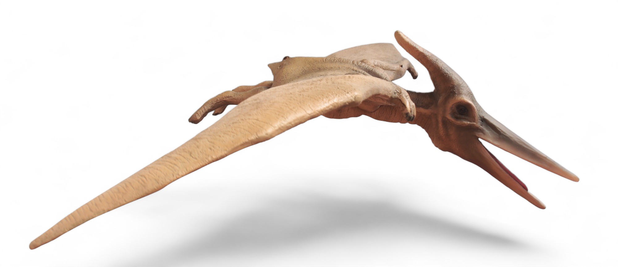 Pterodactyl Flying Life Size Statue Hanging 6 FT