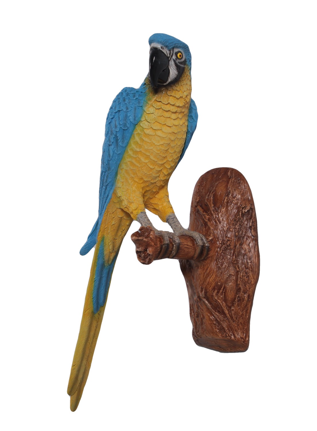 macaw parrot statue