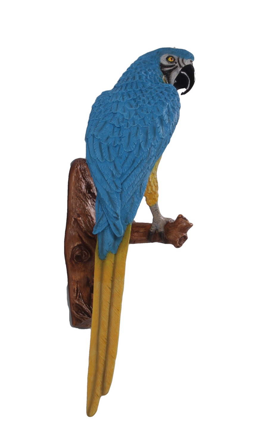 macaw parrot statue