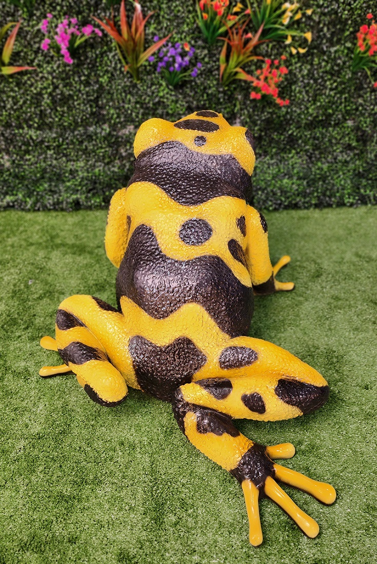 Large Red Dart Poison Frog Statue Exotic Museum Quality 3ft