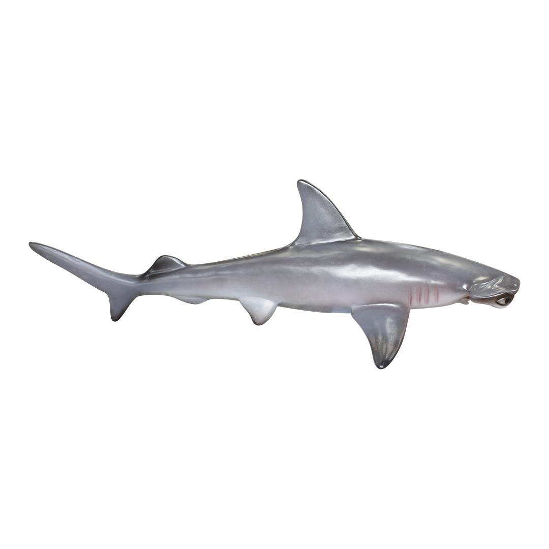 Hammerhead Shark Life Size Statue Hanging 4FT