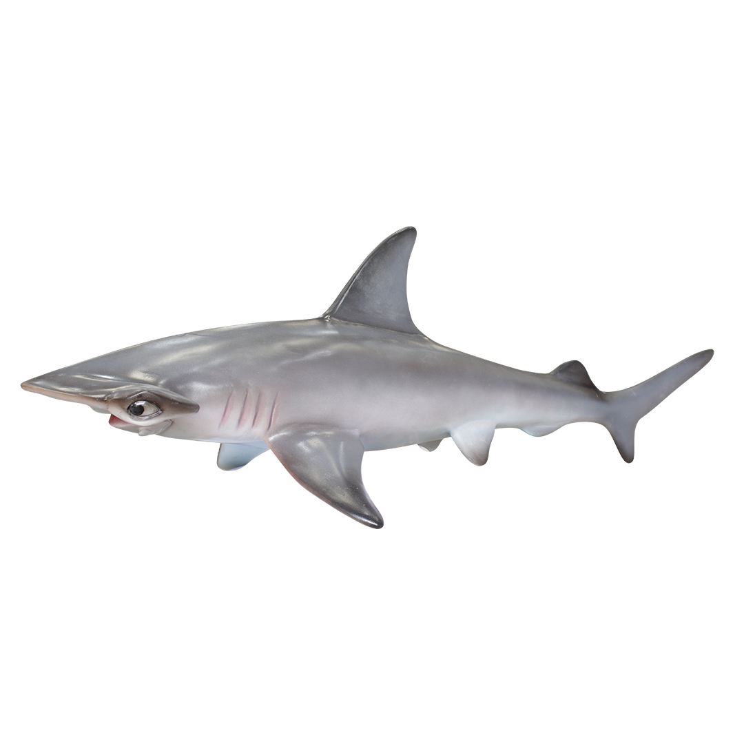 Hammerhead Shark Life Size Statue Hanging 4FT