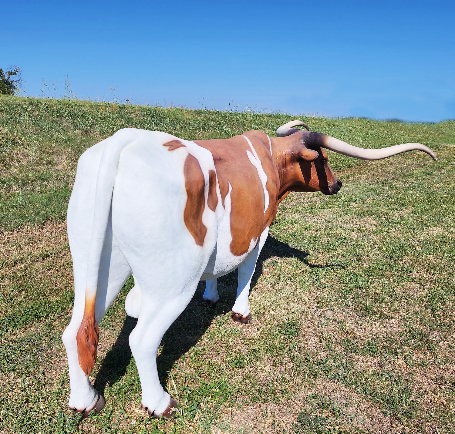 Texas Longhorn Bull Life Size Statue 10 Ft