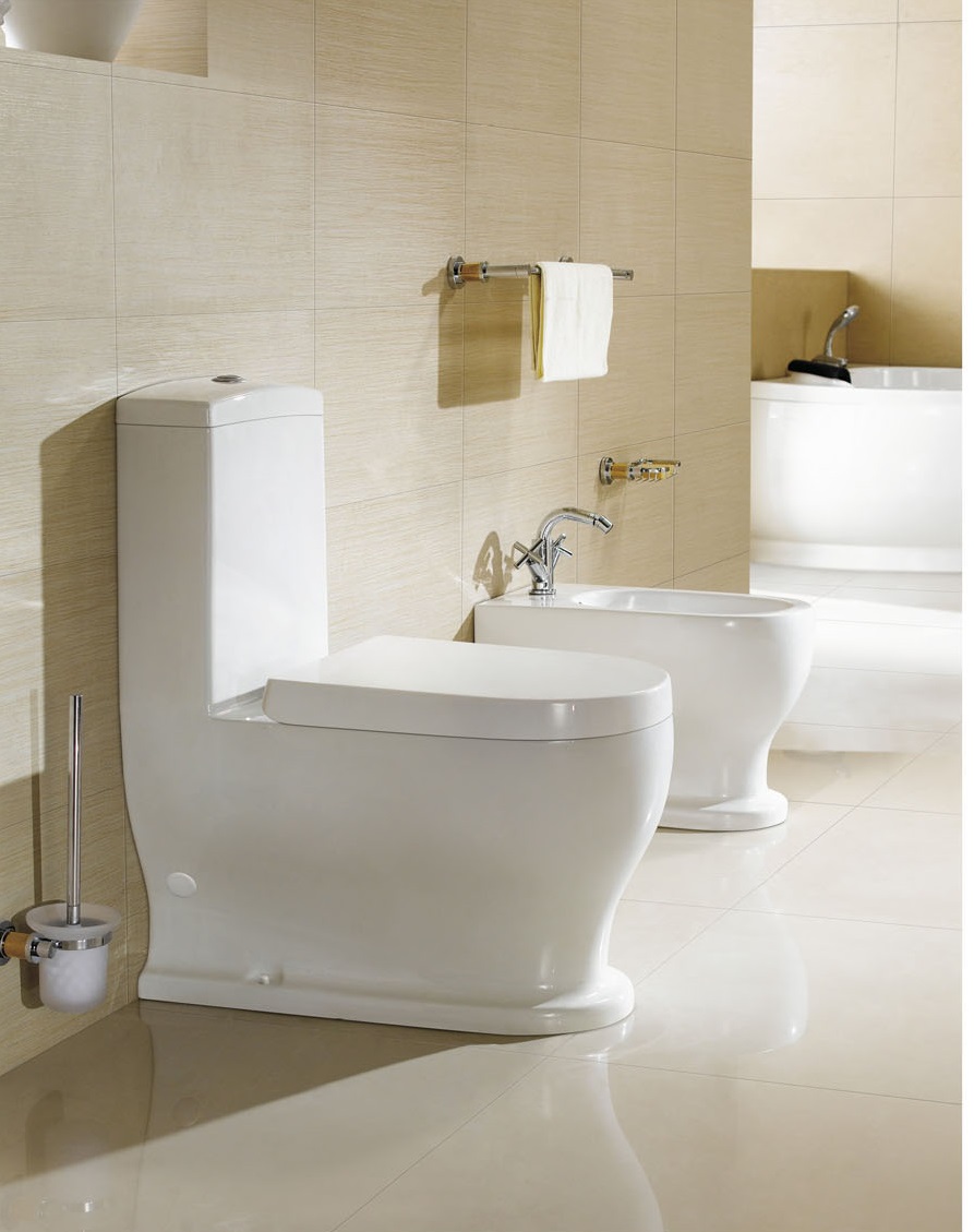 Bidet - Bathroom Bidet - Modern Bidet - Barron