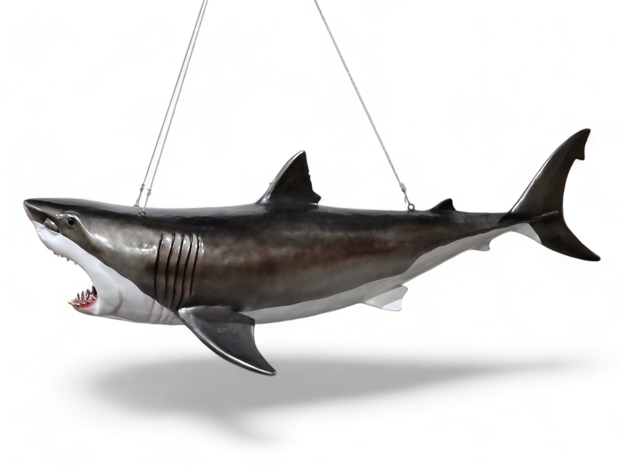 Great White Shark Tapestry, 80x60Inches Hanging Wall Tapestry for Décor  Living Room Dorm Sharks