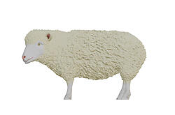 Sheep Statue Life Size 50