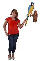 Blue and Yellow Macaw Parrot on Branch Life Size Sculpture Wall Decor