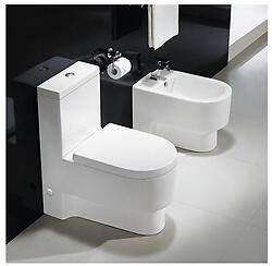 Modern Bathroom Toilet - One Piece Dual Flush - Abaddia