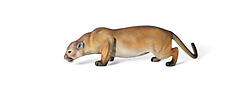 Cougar Life Size Statue