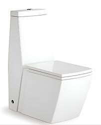 Alberto Modern Bathroom Toilet One Piece Dual Flush