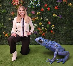 Blue Frog Statue Large Tropical Poison Dart Frog 3FT