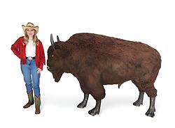 Buffalo Statue Life Size with Fur Museum Quality