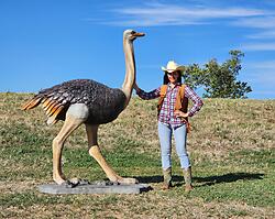 Life Size Ostrich Statue