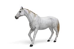 White Horse Life Size Statue Walking