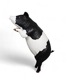 Pig Statue Life Size Standing