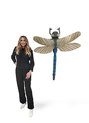 Dragonfly Sculpture Extra Large 4 FT Wall Mount