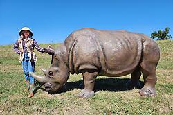 Rhino Statue Life Size 10FT Large