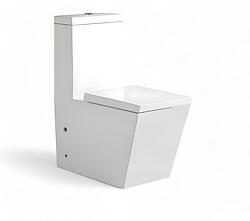 Americo Modern Bathroom Toilet One Piece Dual Flush