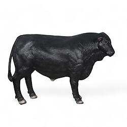 Angus Bull Life Size Statue Black