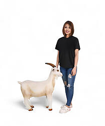 Wild Goat Statue Life Size