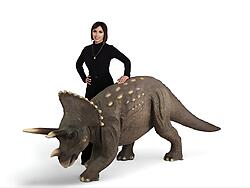 Triceratops Dinosaur Life Size Statue 7.5 FT