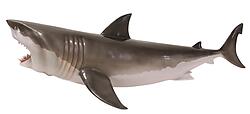 Great White Shark Statue Hanging Life Size 6FT