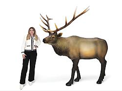 Elk Statue Real Size Museum Quality