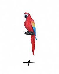 Parrot Red Macaw 6FT large with Metal Stand