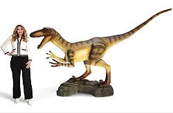 Velociraptor Dinosaur Life Size Statue Mouth Open 11.2 FT