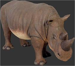 Baby Rhinoceros