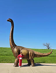 Brachiosaurus Dinosaur Statue Life Size 17.5 FT