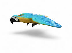 Parrot Blue Macaw Statue Hanging Life Size