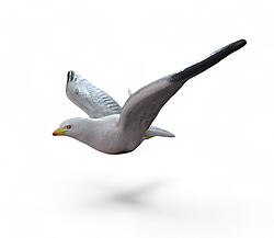 Seagull Flying Life Size Statue Hanging