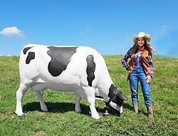 Cow Grazing Statue Life Size Holstein Black and White