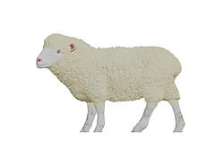 Sheep Statue Life Size 46