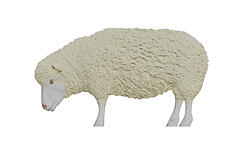 Sheep Statue Life Size Head Down 57