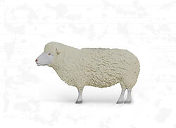 Sheep Statue Life Size 54